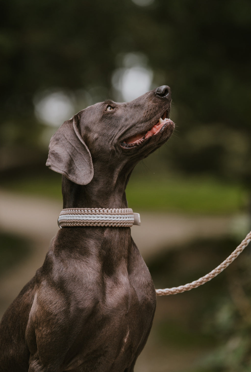 PARACORD HALSBAND l COCONUT BEIGE