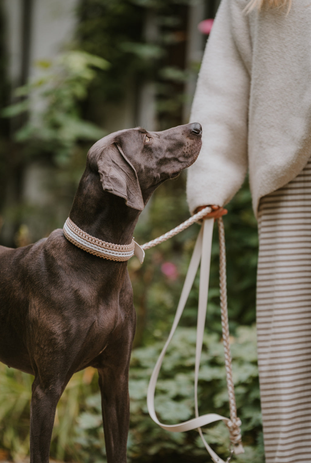 PARACORD LEINE l COCONUT BEIGE