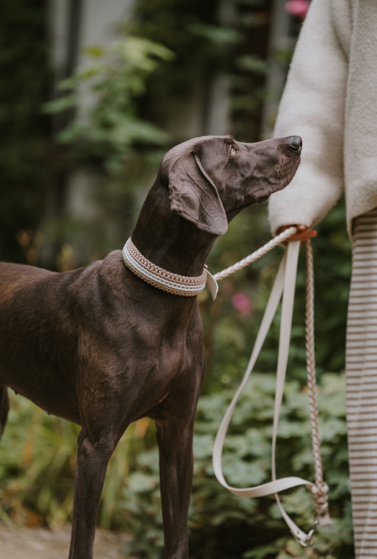 PARACORD HALSBAND l COCONUT BEIGE