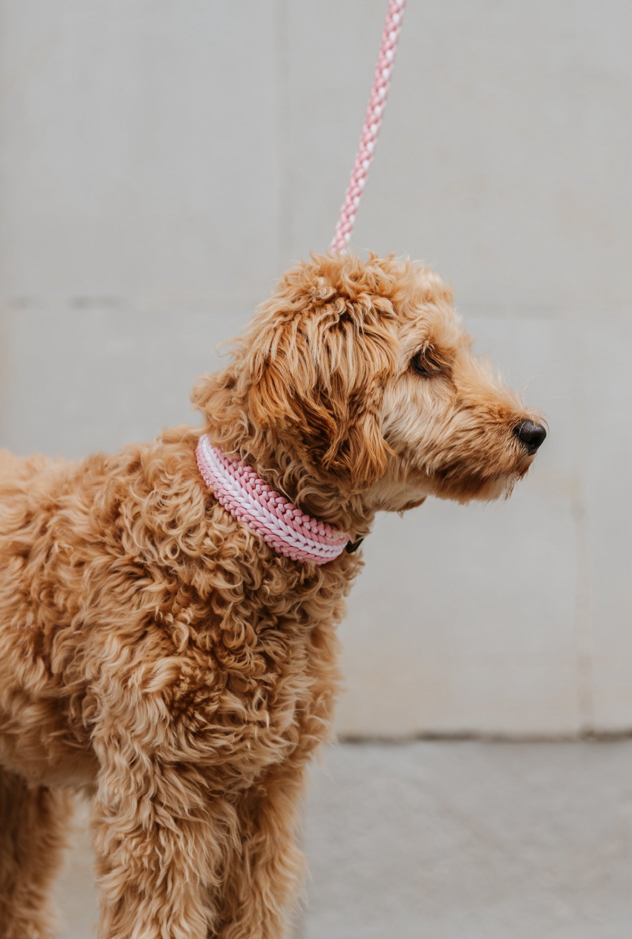 PARACORD HALSBAND l PINK BLOSSOM