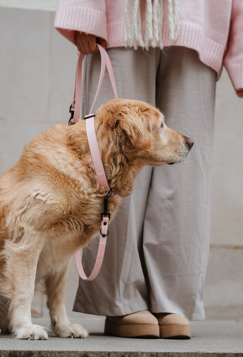 BIOTHANE HALSBAND HUDSON l SOFT PINK