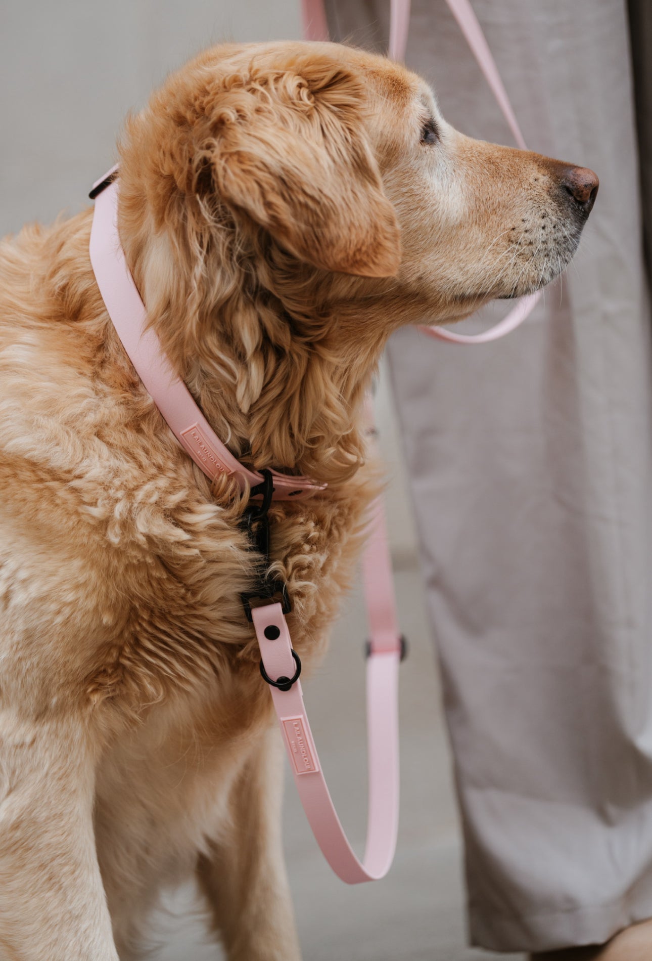 BIOTHANE HALSBAND HUDSON l SOFT PINK