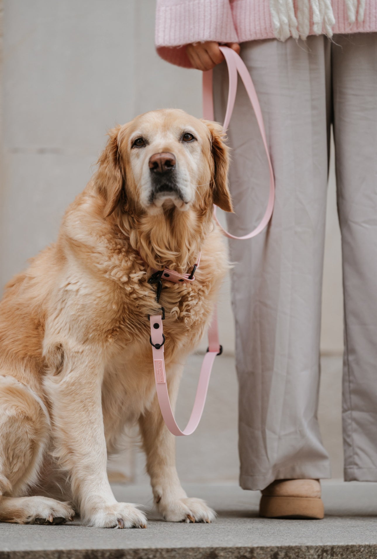 BIOTHANE LEINE HUDSON l SOFT PINK