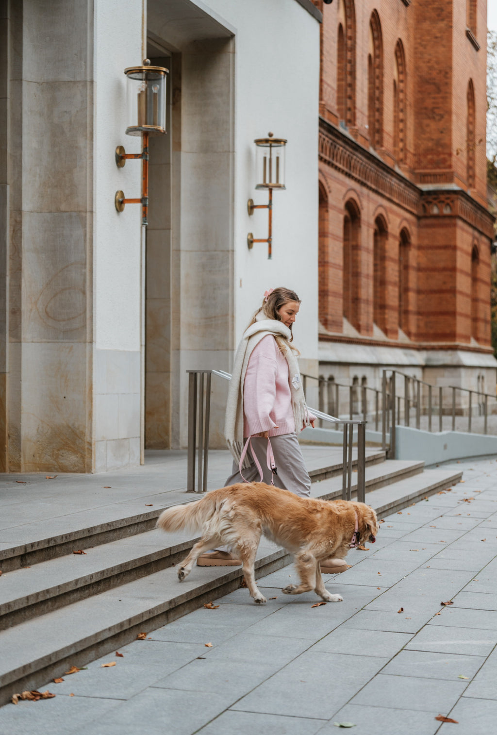 BIOTHANE LEINE HUDSON l SOFT PINK