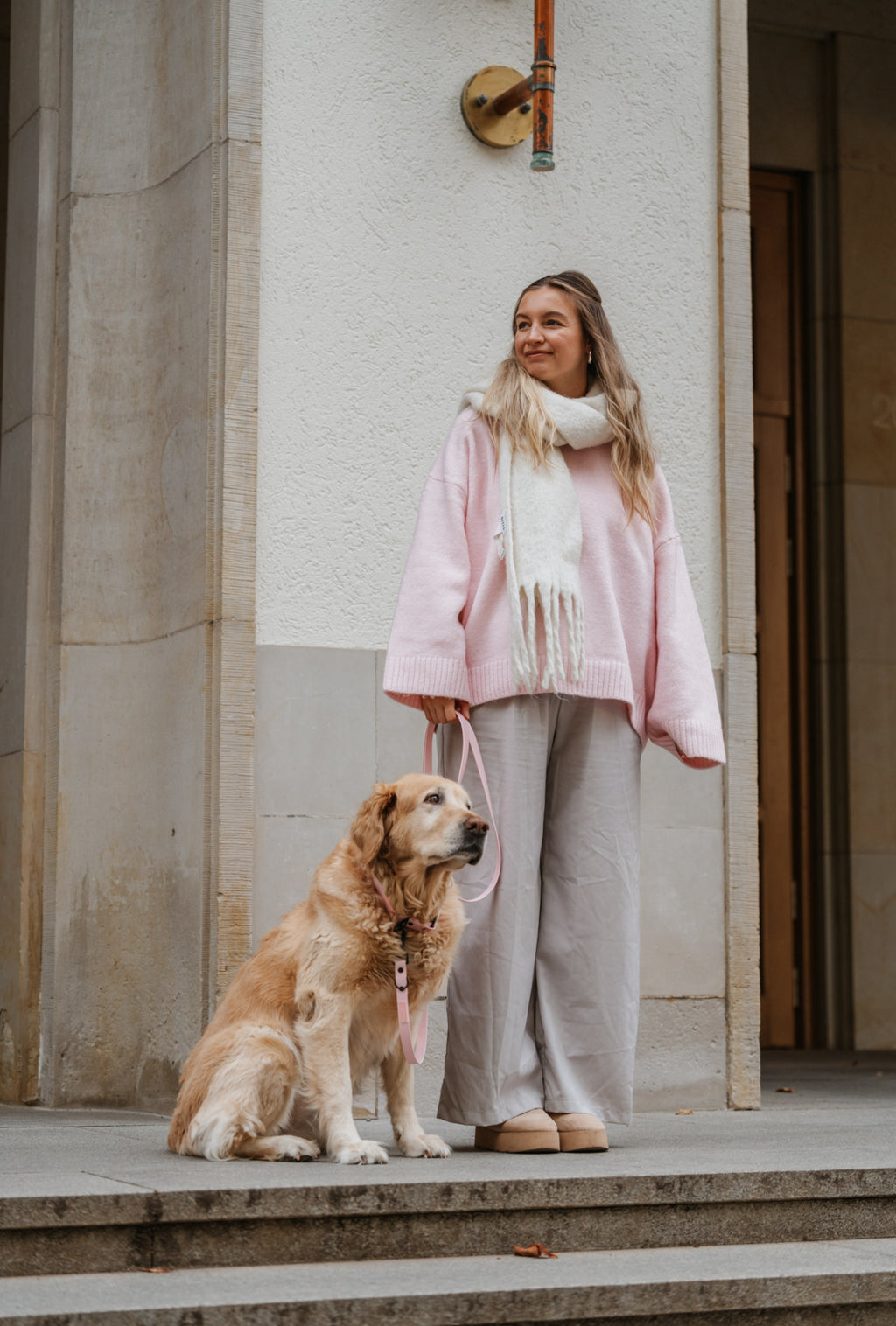 BIOTHANE LEINE HUDSON l SOFT PINK