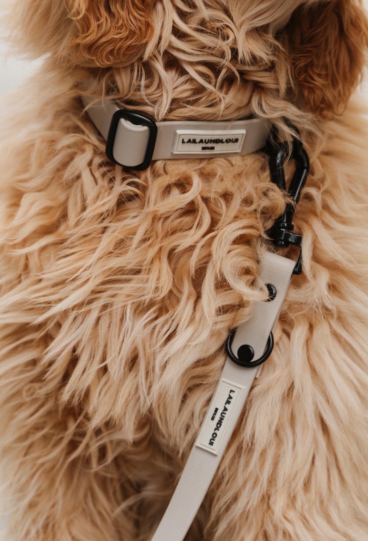 BIOTHANE HALSBAND HUDSON l TAUPE