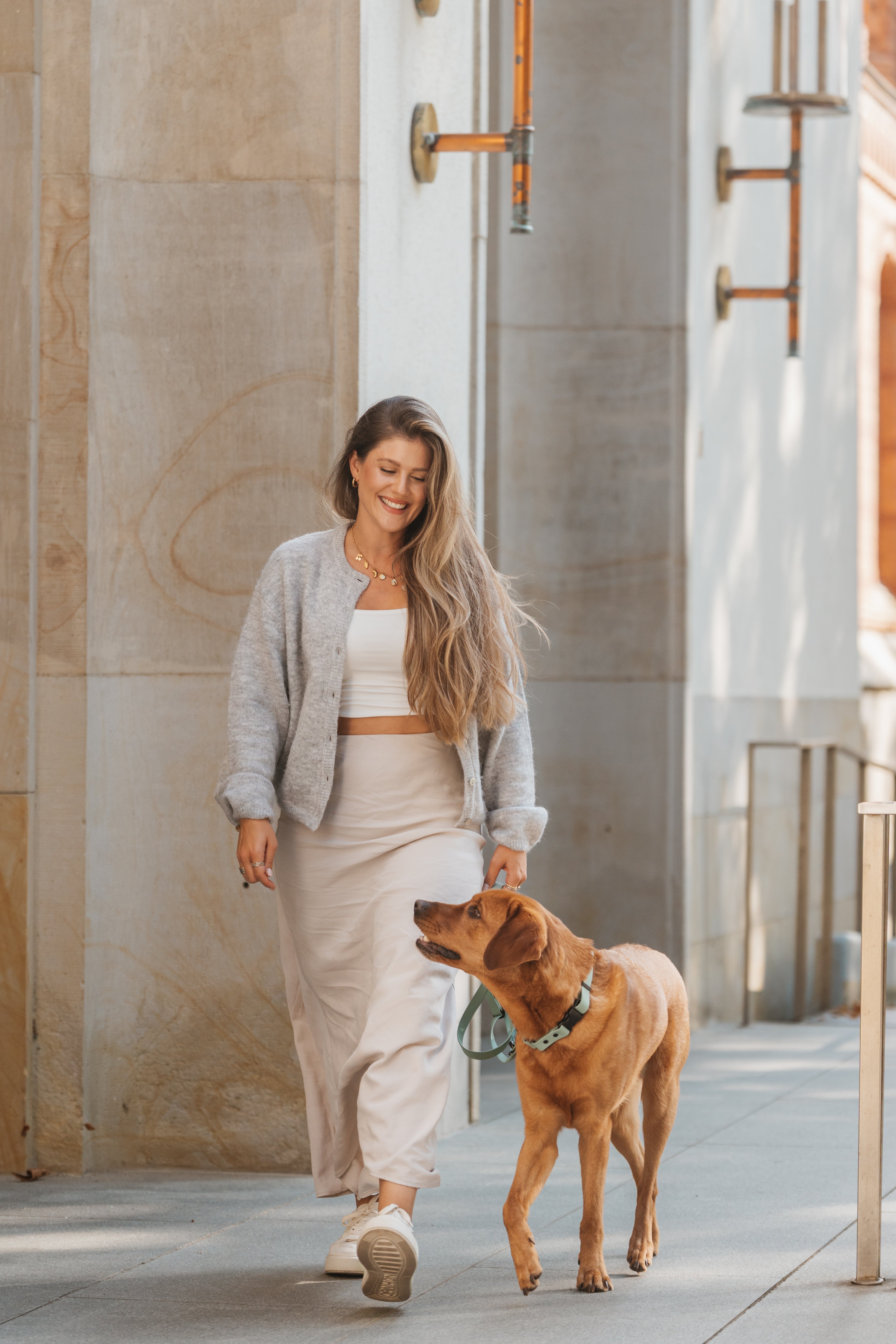 BIOTHANE HALSBAND HUDSON l SAGE