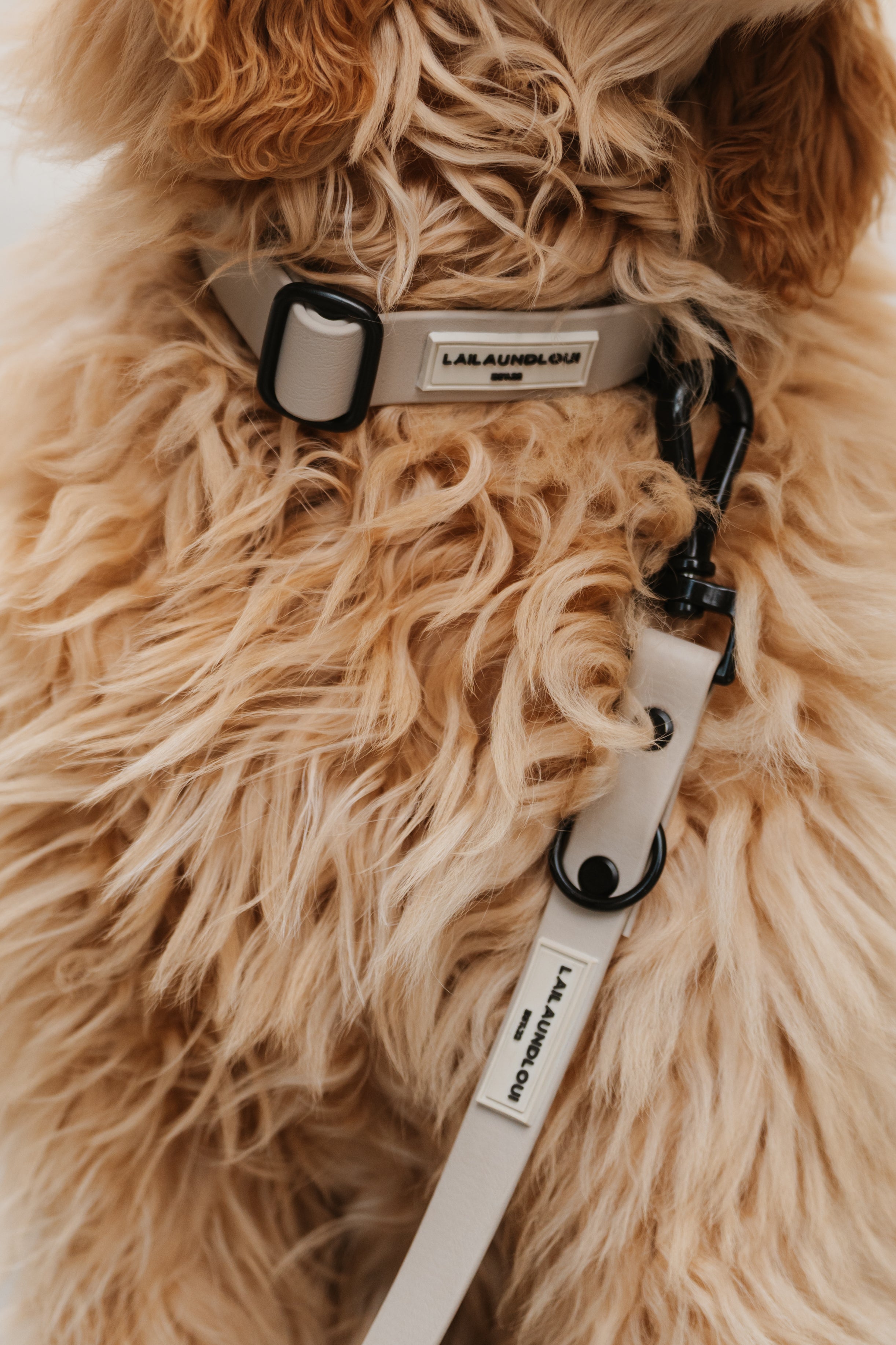 BIOTHANE LEINE HUDSON l TAUPE