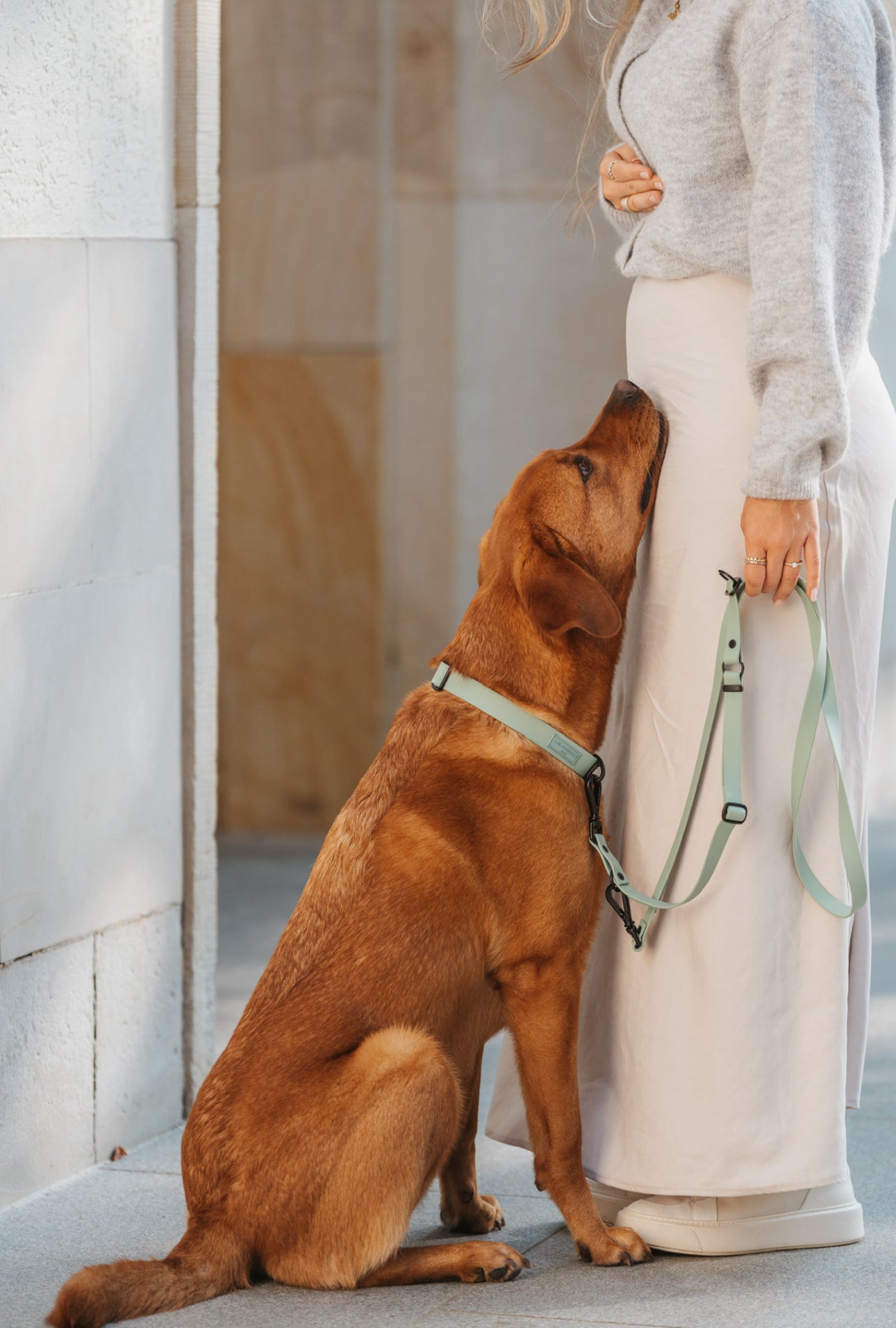 BIOTHANE HALSBAND HUDSON l SAGE